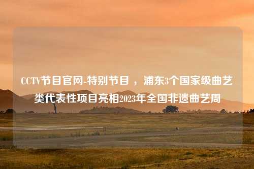 CCTV节目官网-特别节目 ，浦东3个国家级曲艺类代表性项目亮相2023年全国非遗曲艺周